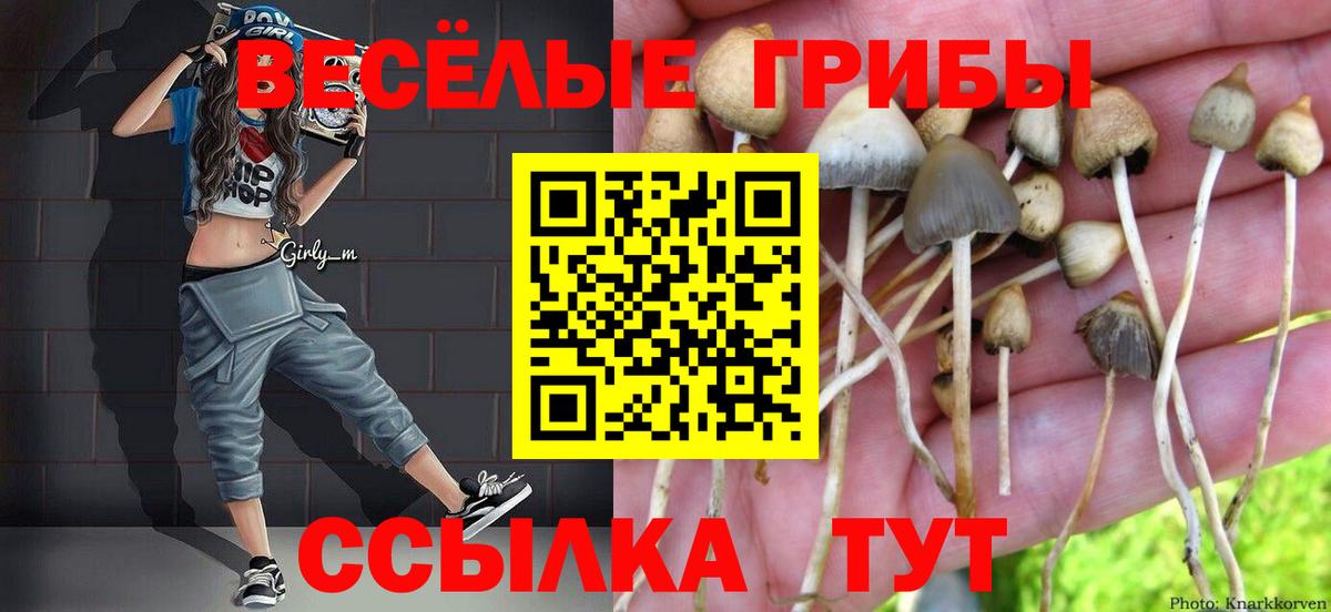 Псилоцибиновые грибы MAGIC MUSHROOMS  Вход с VPN  Галлюциногенные грибы MAGIC MUSHROOMS  Юрга 